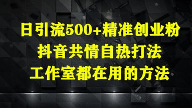 日引流500+精准创业粉，抖音共情自热打法，工作室都在用的方法-狐蜂资源网