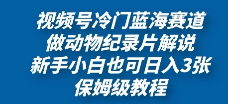 视频号冷门蓝海赛道，做动物纪录片解说，新手小白也日入3张，保姆级教程-狐蜂资源网