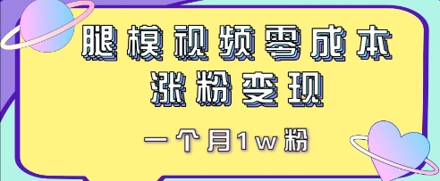 腿模视频，零成本涨粉变现，一个月1w粉-狐蜂资源网