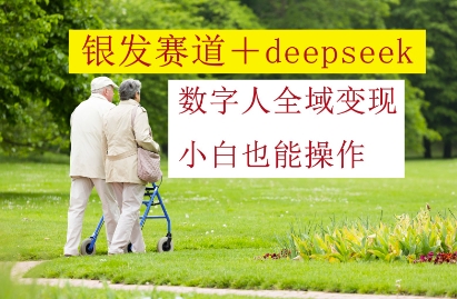 银发赛道+deepseek数字人全域变现，小白也能操作-狐蜂资源网