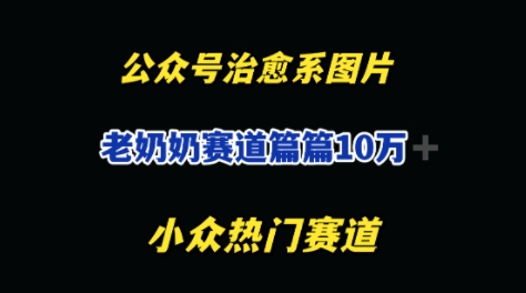 公众号老奶奶治愈系流量主，篇篇10W+-狐蜂资源网