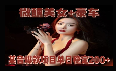 微醺美女+豪车，抖音爆款项目单日稳定2张+-狐蜂资源网