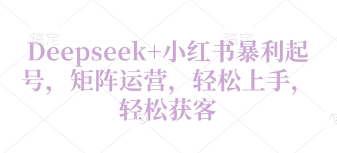 Deepseek+小红书暴利起号，矩阵运营，轻松上手，轻松获客-狐蜂资源网