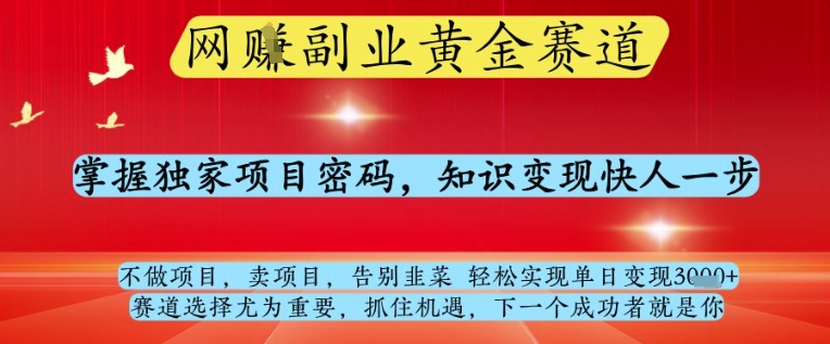 网创副业黄全赛道，掌握独家项目密码，知识变现快人一步，告别韭菜轻松实现单日变现1k+【揭秘】-狐蜂资源网