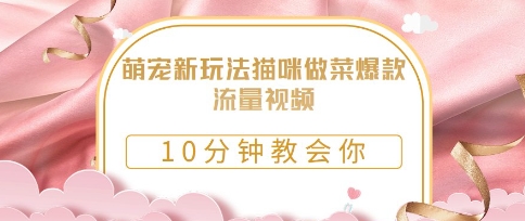 萌宠新玩法猫咪做菜爆款流量视频，10分钟教会你-狐蜂资源网