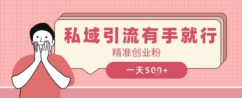 私域引流有手就行，日引500+精准创业粉-狐蜂资源网