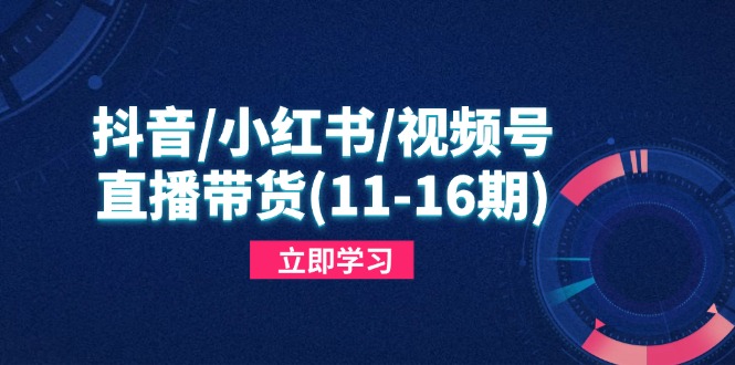 （14611期）抖音/小红书/视频号/直播带货(11-16期)，快速掌握平台规则，打造爆款内容-狐蜂资源网