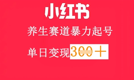 小红书养生赛道，暴力起号，轻松日入3张+-狐蜂资源网