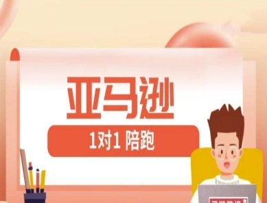 亚马逊1对1陪跑课(FBA/FBM精铺)跨境亚马逊教程-狐蜂资源网