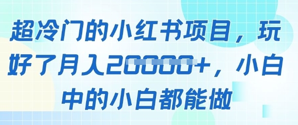 超冷门的小红书项目，玩好了月入过1w，小白中的小白都能做-狐蜂资源网