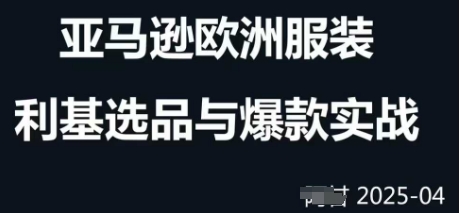 跨境电商选品案例24-25年，聚焦跨境电商选品策略与运营优化，助力卖家挖掘蓝海市场-狐蜂资源网