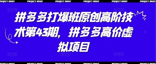 拼多多打爆班原创高阶技术第43期，拼多多高价虚拟项目-狐蜂资源网