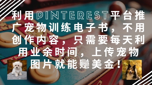 利用Pinterest平台推广宠物训练电子书，不用创作内容，只需要每天利用业余时间，上传宠物图片就能挣美金!-狐蜂资源网