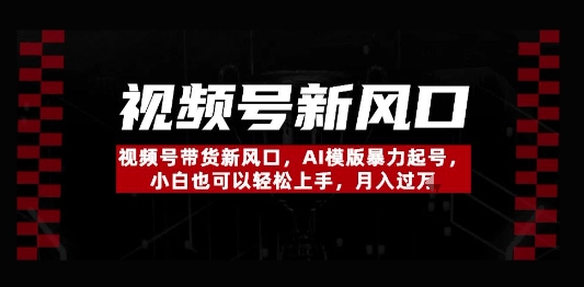 视频号带货新风口，AI模版暴力起号，小白也可以轻松上手，月入过W-狐蜂资源网