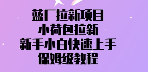 蓝厂拉新项目，小荷包拉新，新手小白快速上手，保姆级教程-狐蜂资源网