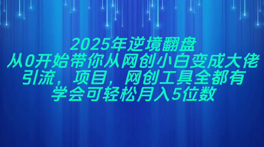（14473期）2025年逆境翻盘，从0开始带你从网创小白变成大佬，引流，项目，网创工…-狐蜂资源网