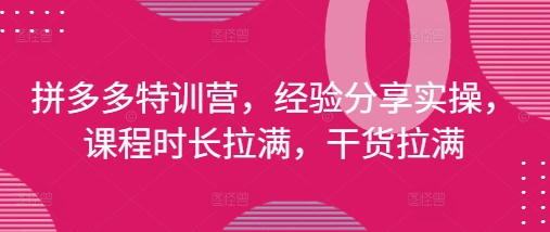 拼多多特训营，经验分享实操，课程时长拉满，干货拉满(更新25年4月)-狐蜂资源网