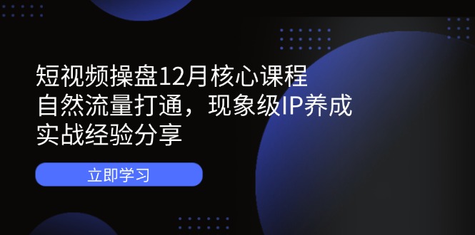 （14447期）短视频操盘12月核心课程：自然流量打通，现象级IP养成，实战经验分享-狐蜂资源网